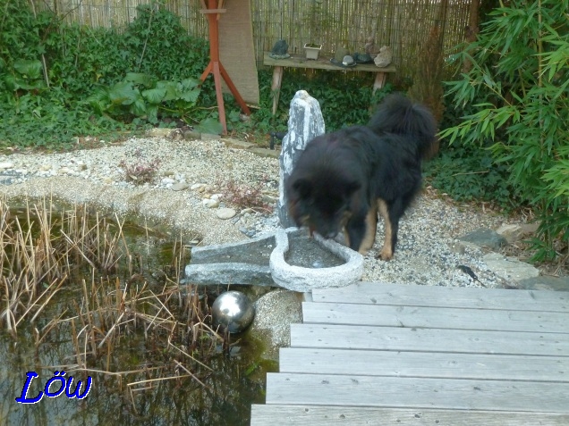 24.3.2019 - Wasserspiele